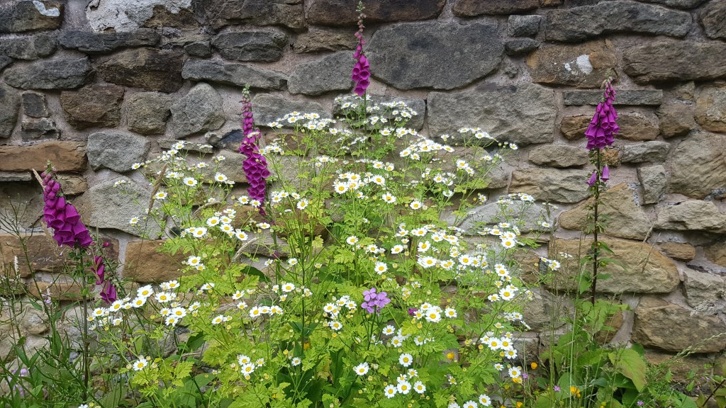How To Design a Dreamy Cottage Garden&nbsp;Border