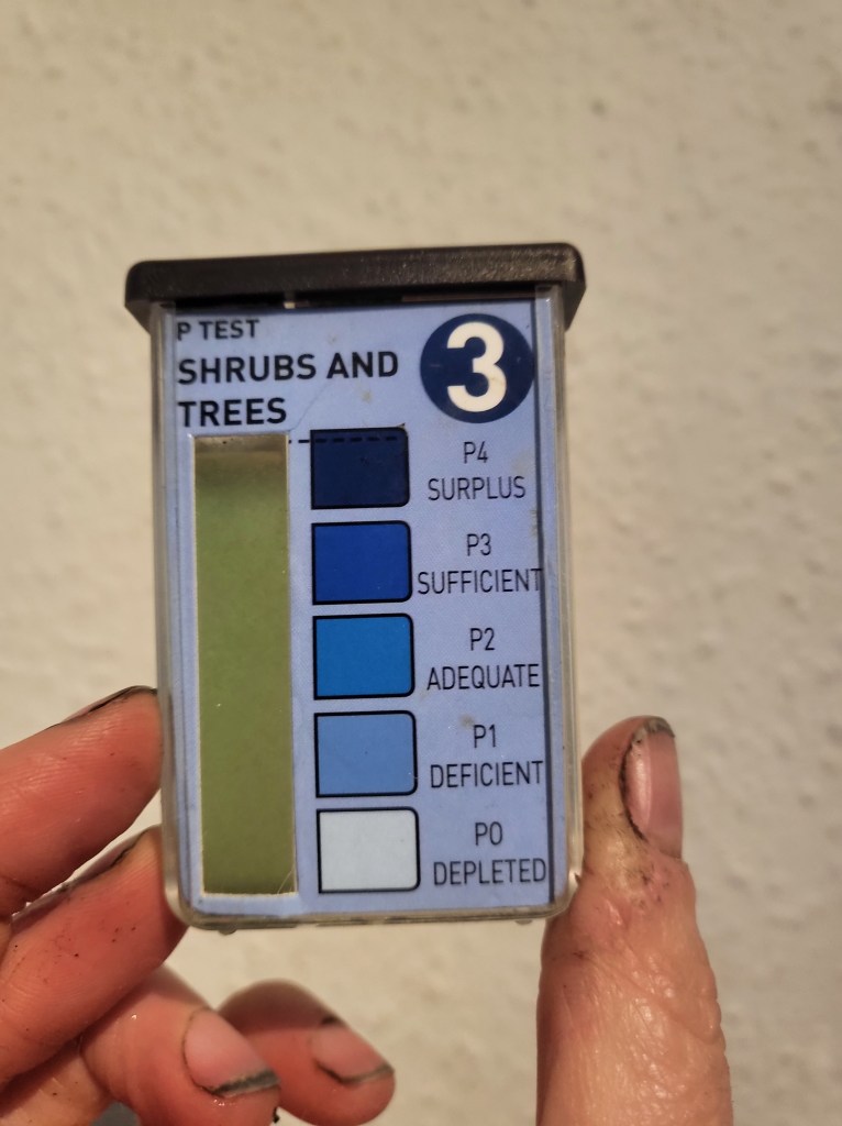 Phosphorus test container showing low phosphorus levels.