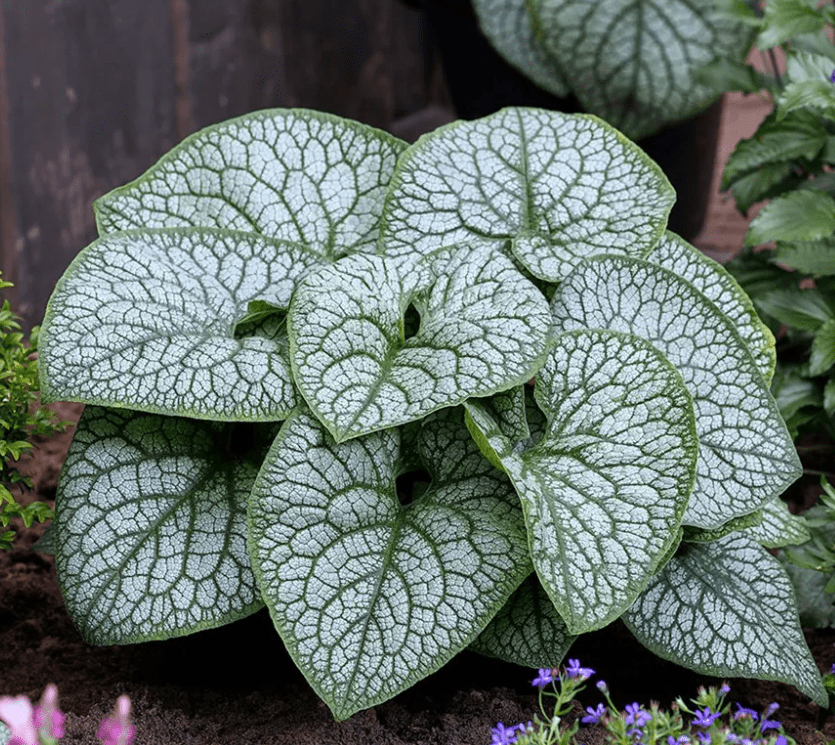 How To Stop Slugs Eating Your Seedlings (Without&nbsp;Chemicals)